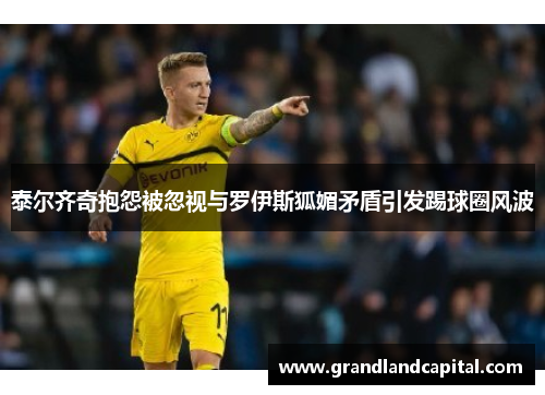 泰尔齐奇抱怨被忽视与罗伊斯狐媚矛盾引发踢球圈风波