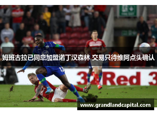 姆班古拉已同意加盟诺丁汉森林 交易只待维阿点头确认