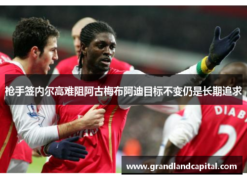 枪手签内尔高难阻阿古梅布阿迪目标不变仍是长期追求